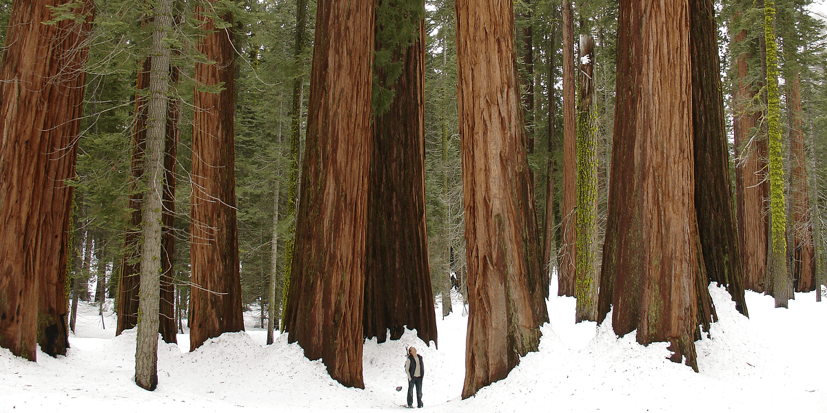 Image of: 7 Road Trips to Take This Winter