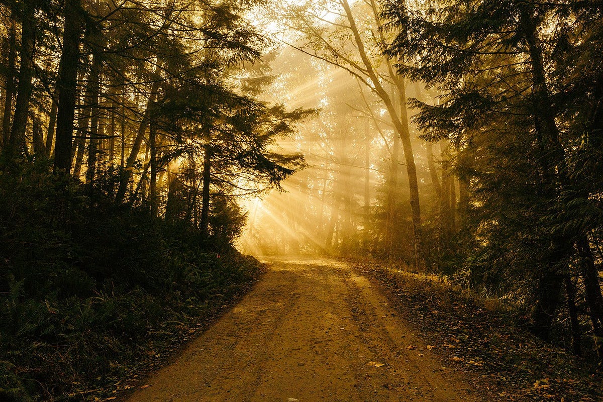 The Subtle Art Of Getting Unstuck By Golda Fukesman Curious Medium