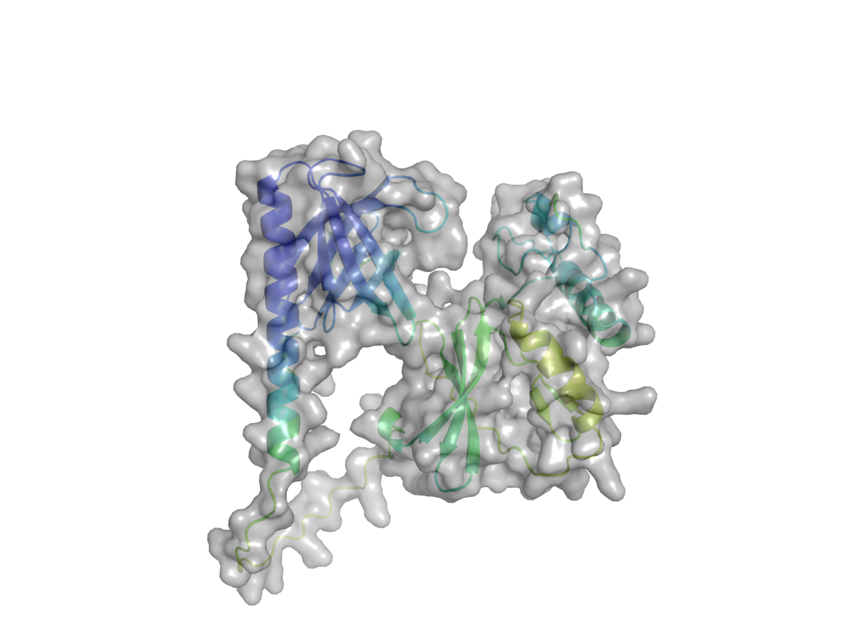 From Transcriptomics to Protein Structure: Exploring AKT1 in Triple-Negative Breast Cancer Using…