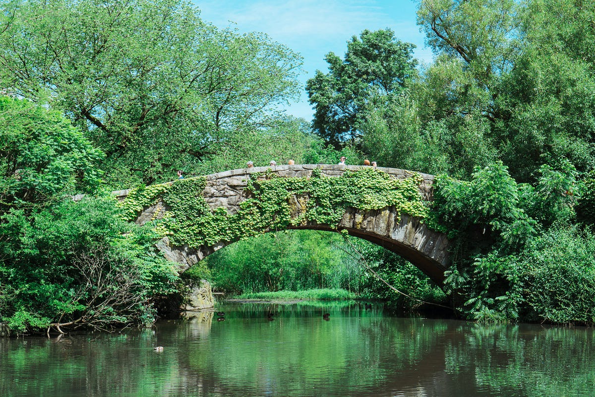 Central Park: Your NYC Adventure Playground — Beyond the Tourist Trail ...