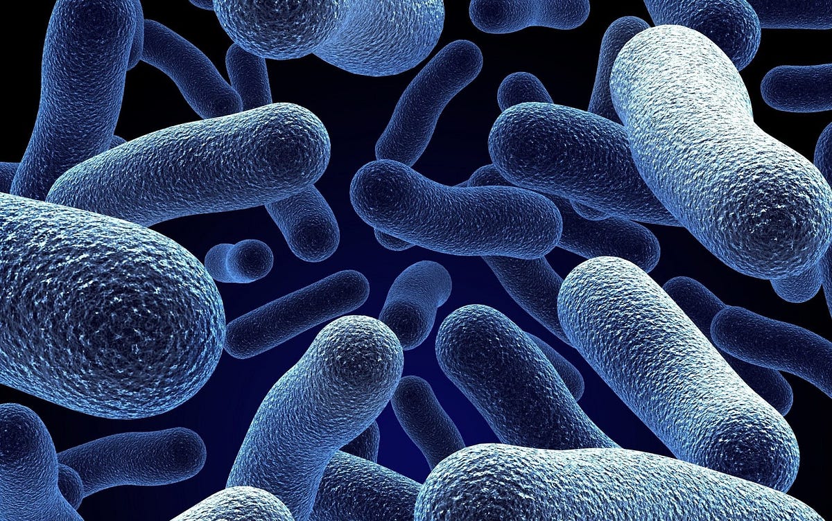 Microbial Surveillance: How it Works & Why it’s Important | by Dhruv ...