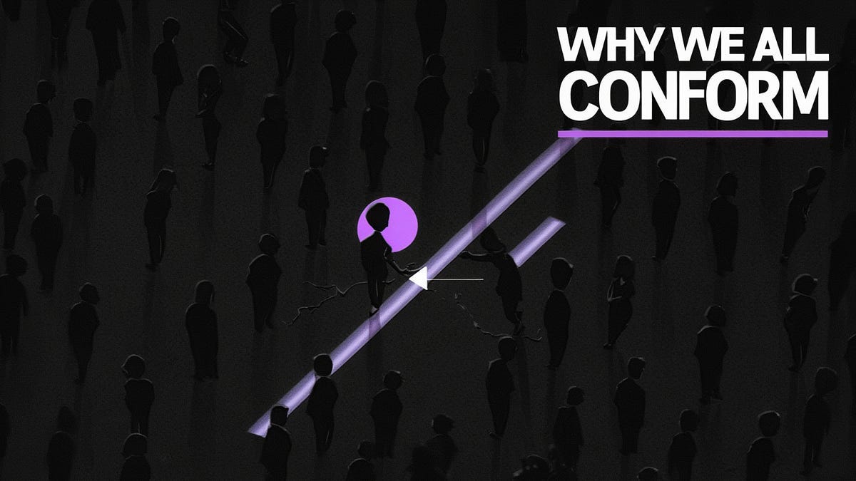 The Fear Economy: The Enclosure of Belonging