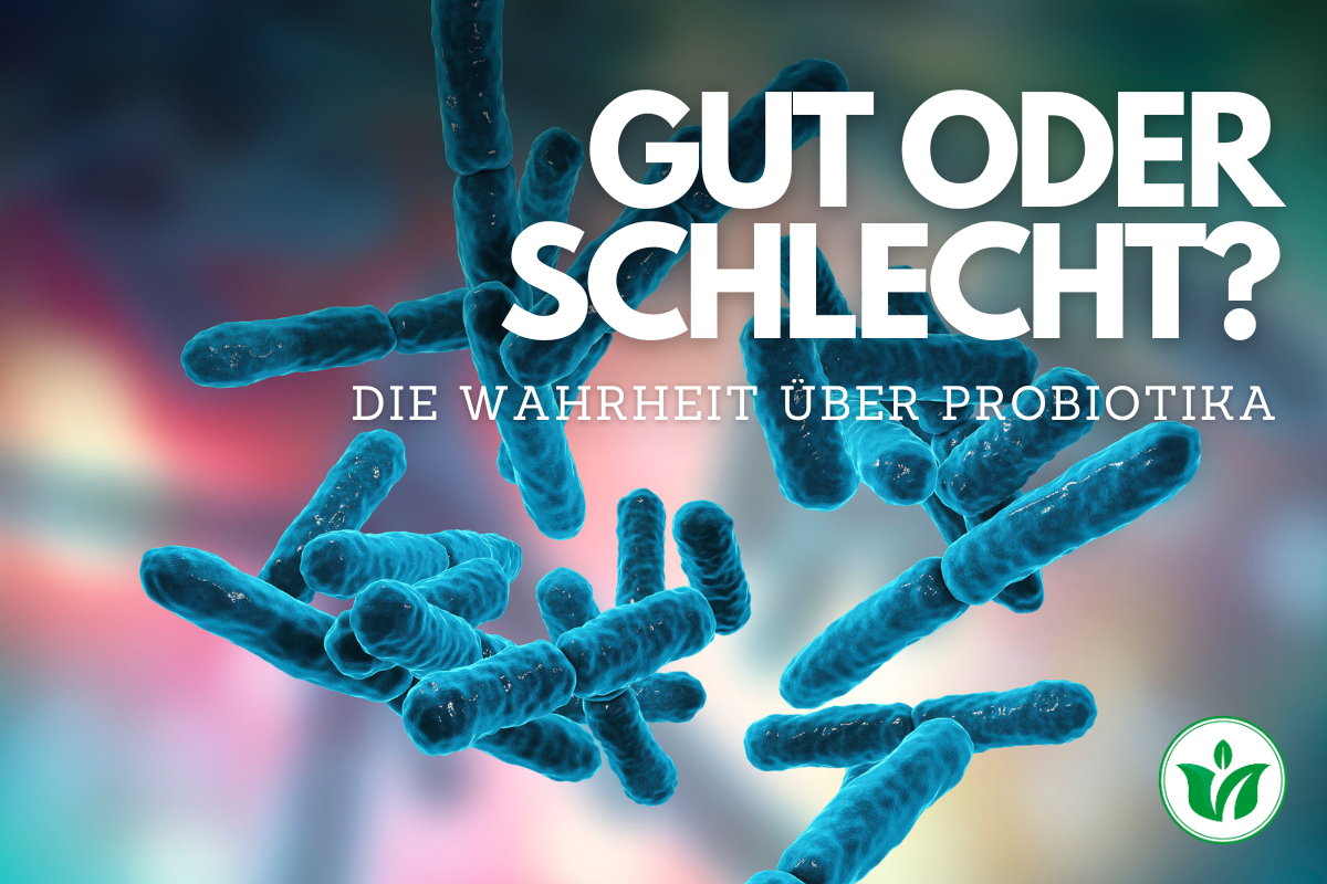 Gut oder schlecht? Die Wahrheit über Probiotika und ihre Auswirkungen auf Ihren Darm.