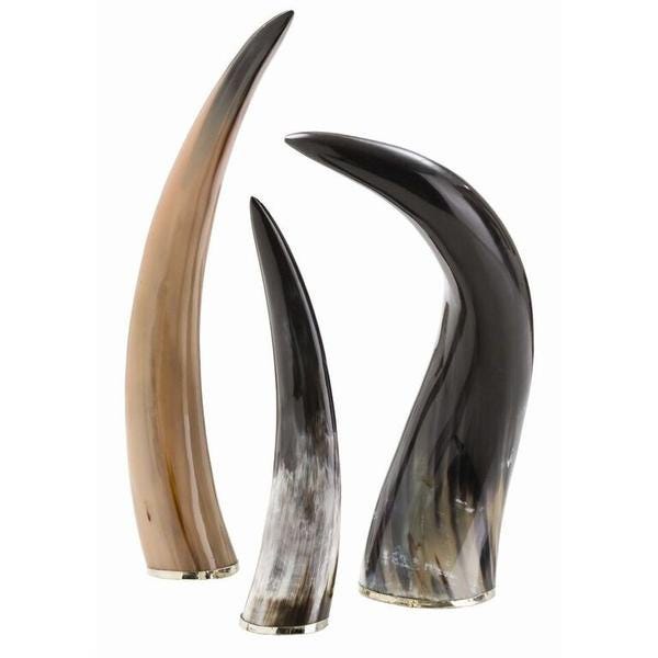 What does the horn represent in the Bible by Tony Antonakis