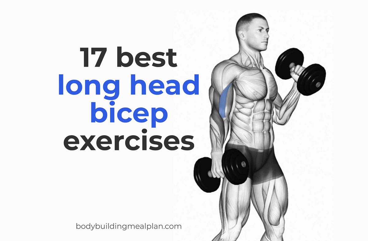 Sculpting SleevePopping Arms The 17 Best Long Head Bicep Exercises