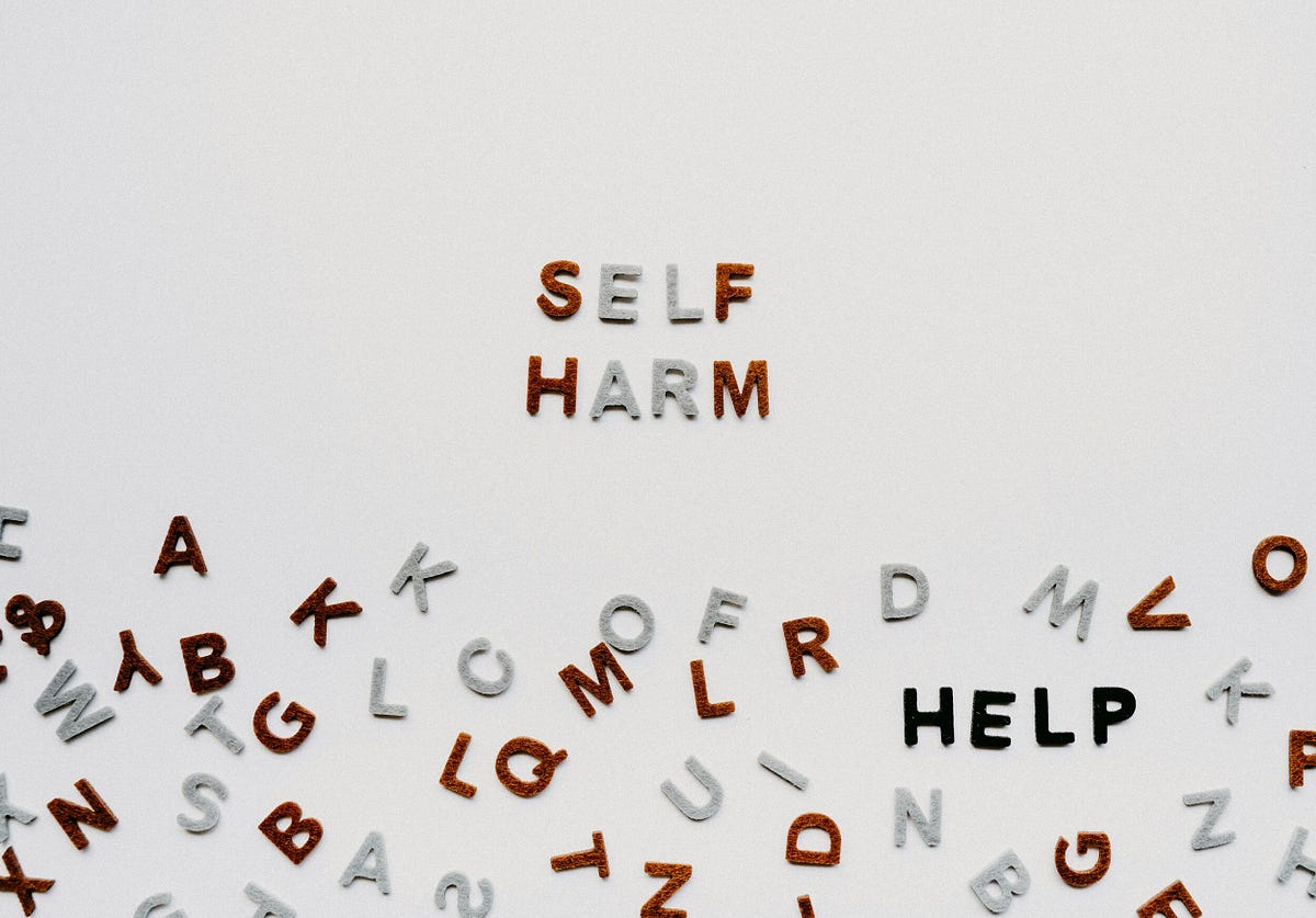 Shedding Light on SelfHarm Understanding, Supporting, and Healing