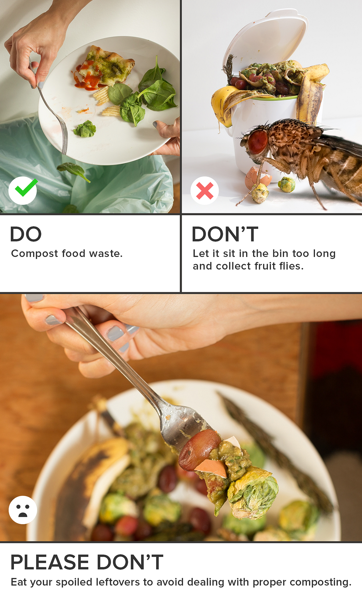 The Do’s, Don’ts, and Oh God, Please Don’ts of Waste Disposal — The Bold Italic — San Francisco