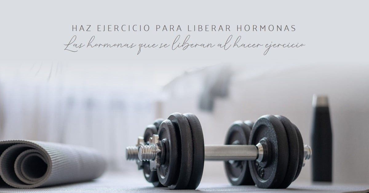 Las hormonas que se liberan al hacer ejercicio | by Info | Medium