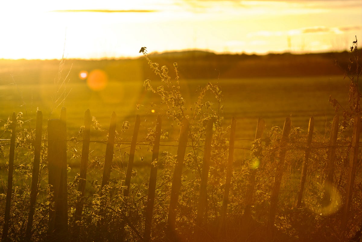 Why is it important to set boundaries ILLUMINATION