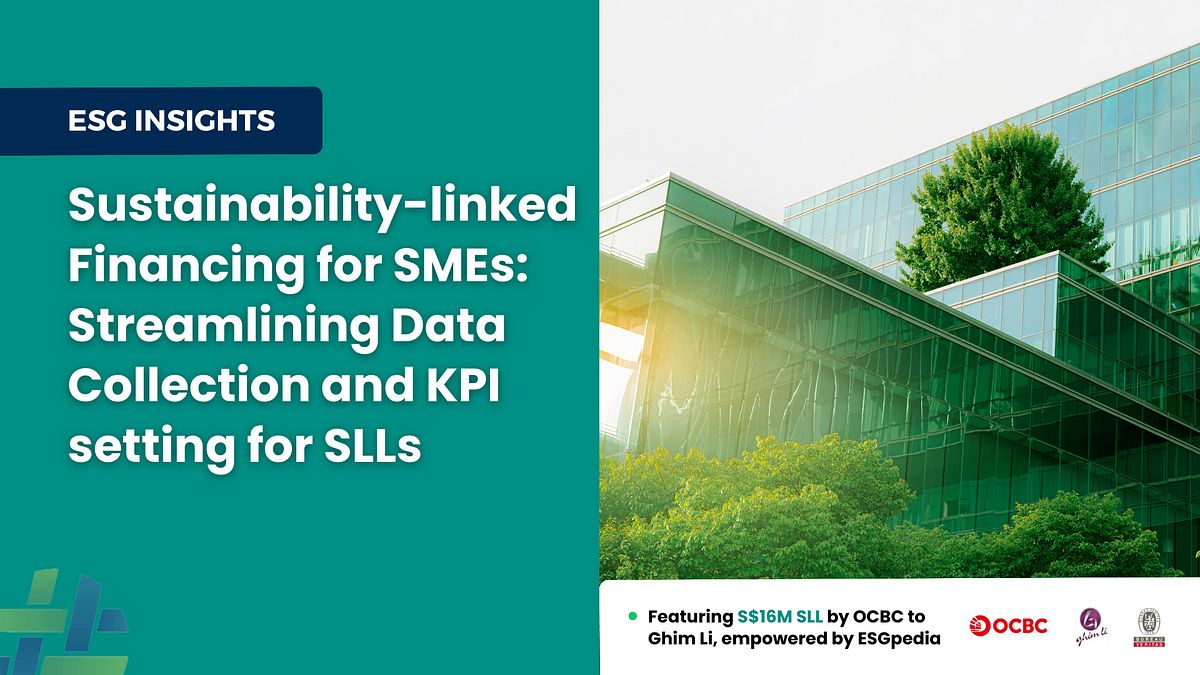 Financing SMEs For Sustainability — How To Set KPIs To Attain ...