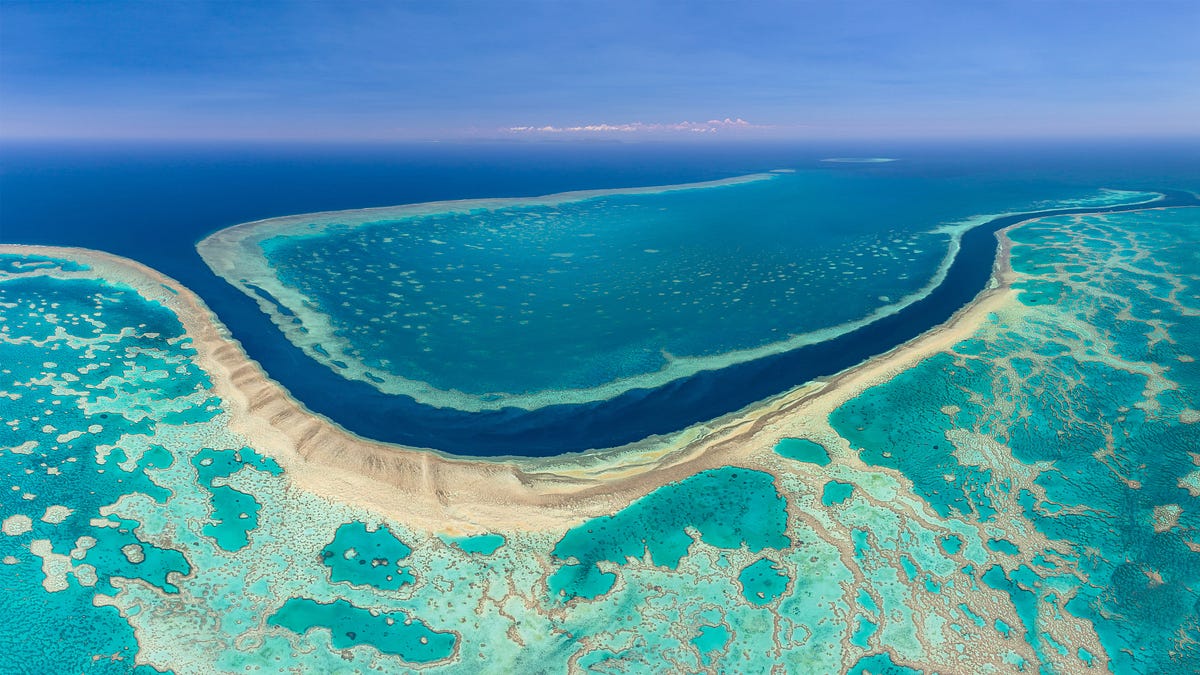 Looking Down Under — Australia and New Zealand’s Marine Conservation ...