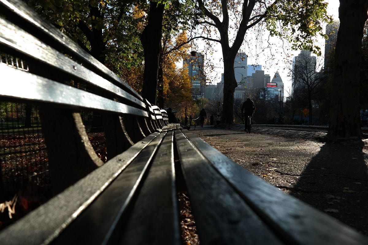 Observations of a Bench in Central Park. Yes, they see you! by