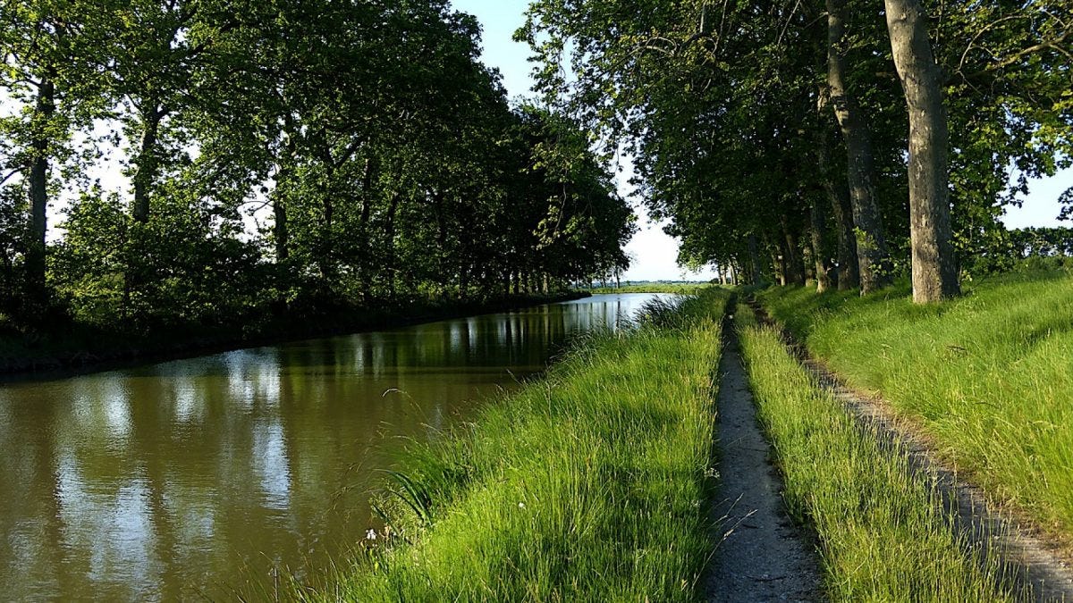 3 idées de balades le long du canal du midi dans l’Hérault