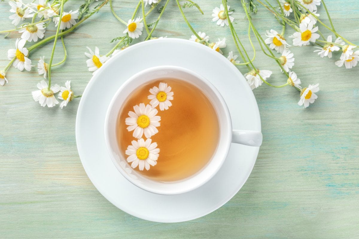 Chamomile Tea — Benefits, Side Effects, and Usage by Raj Sep, 2023