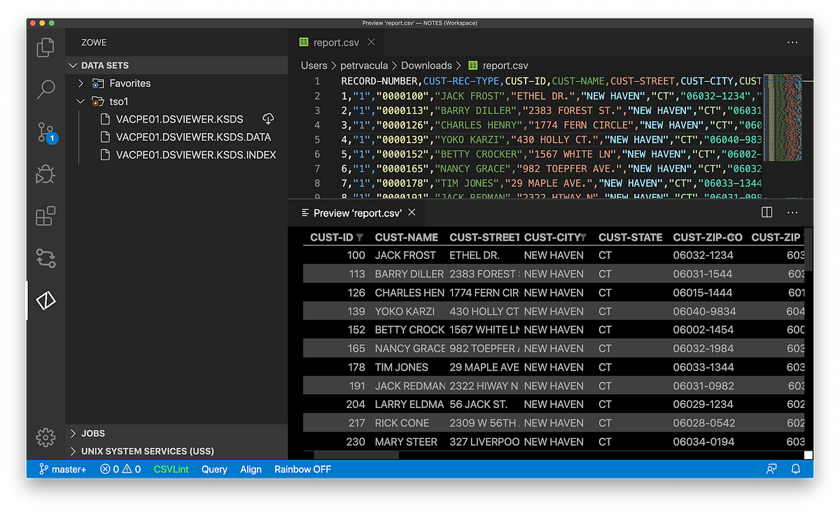 View mainframe data sets from your favorite IDE | by Petr Vacula ...