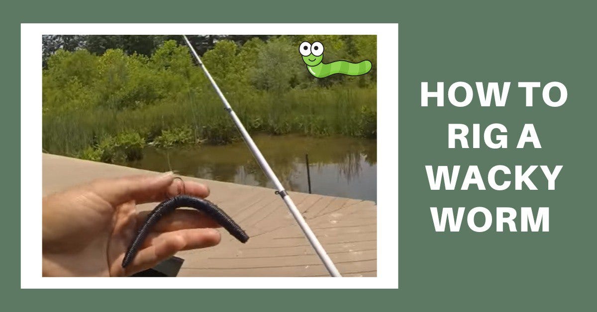 Beginner’s Guide On How To Rig A Wacky Worm In Fishing [2022] - Mary ...