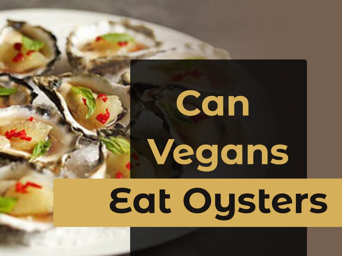 Can Vegans Eat Oysters? (All You Should Know As a Vegan) by 🌱VEGi1