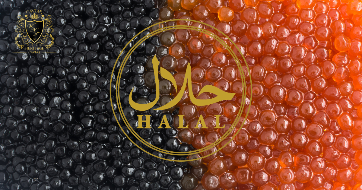 Is Caviar Halal? Here’s What You Need to Know Before Buying