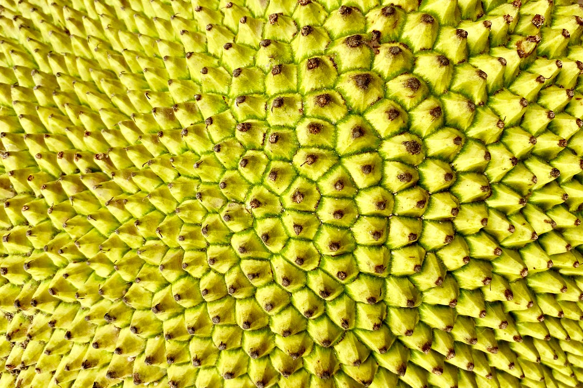 Why Is Jackfruit Good for Your Health? by Tropical Page