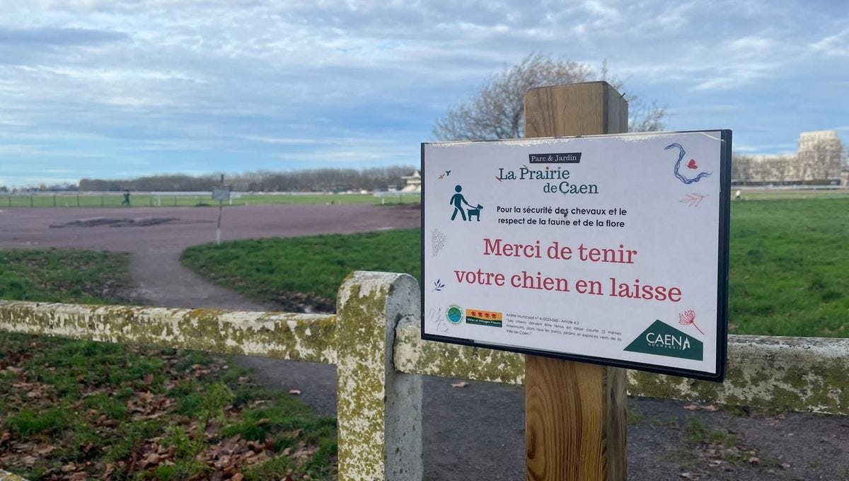 À Caen, une pétition pour promener son chien sans laisse à la Prairie