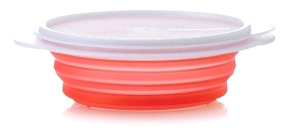 All About the Tupperware. by Maïa Dakessian Science & Policy… | by Science  & Policy Exchange | Medium