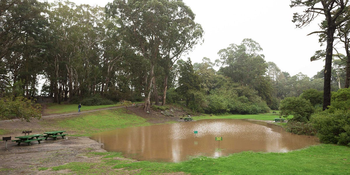 Image of: Storm Porn: Photos of Last Night’s Epic Storm — The Bold Italic — San Francisco