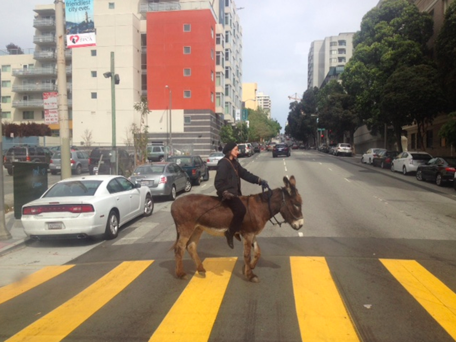 Image of: Chill-Ass Donkey in Hayes Valley — The Bold Italic — San Francisco