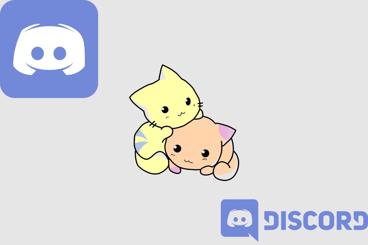 What Is A Discord Kitten Is It Safe To Be A Discord Kitten? by