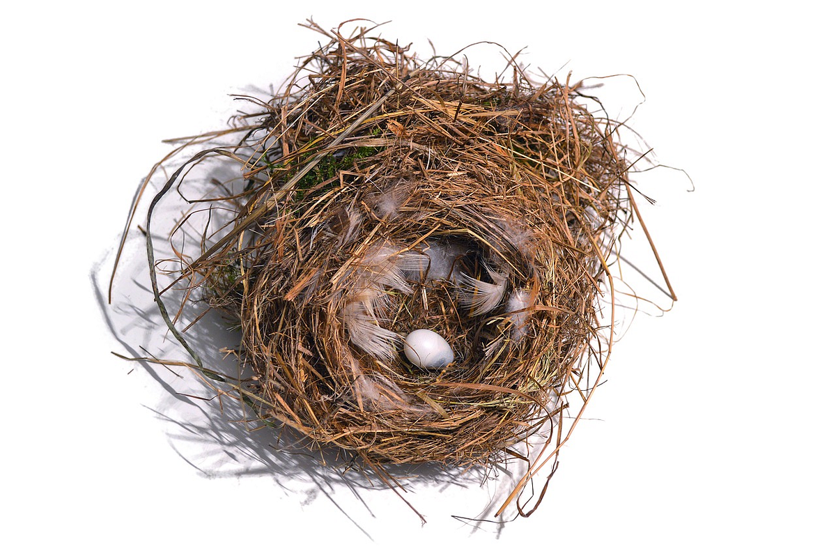 What does it Mean to ‘Feather one’s Nest’? by Gauri Shanker Medium