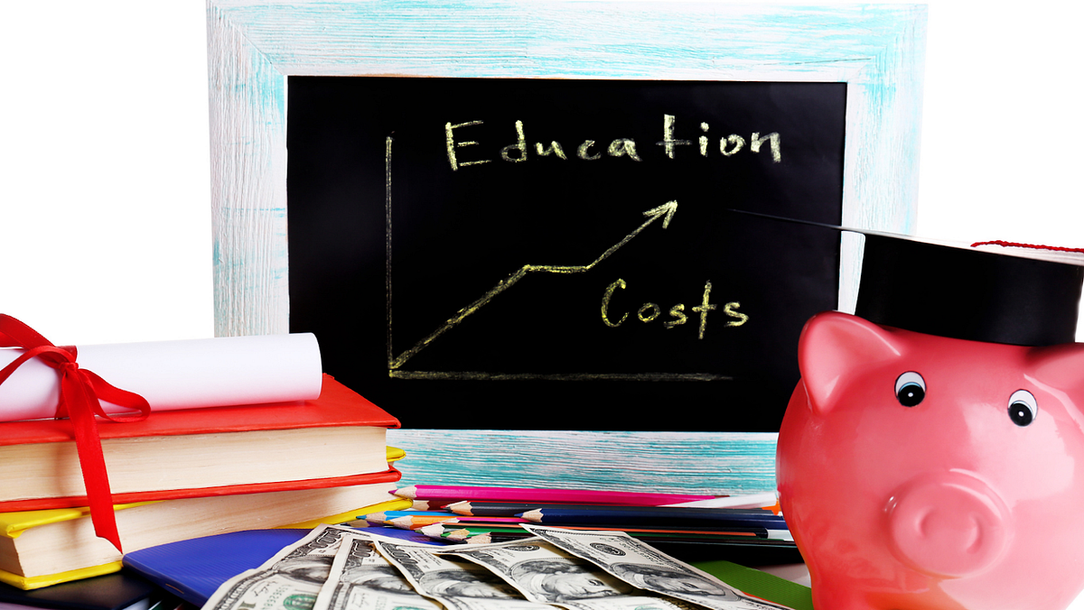 Ways To Reduce the Cost of a School Education by Anushree Lokhande
