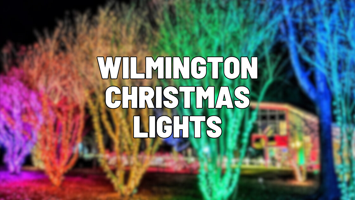 WILMINGTON CHRISTMAS LIGHTS SAFE, PROFESSIONAL AND ENJOYABLE by TidewaterProWash Sep, 2023