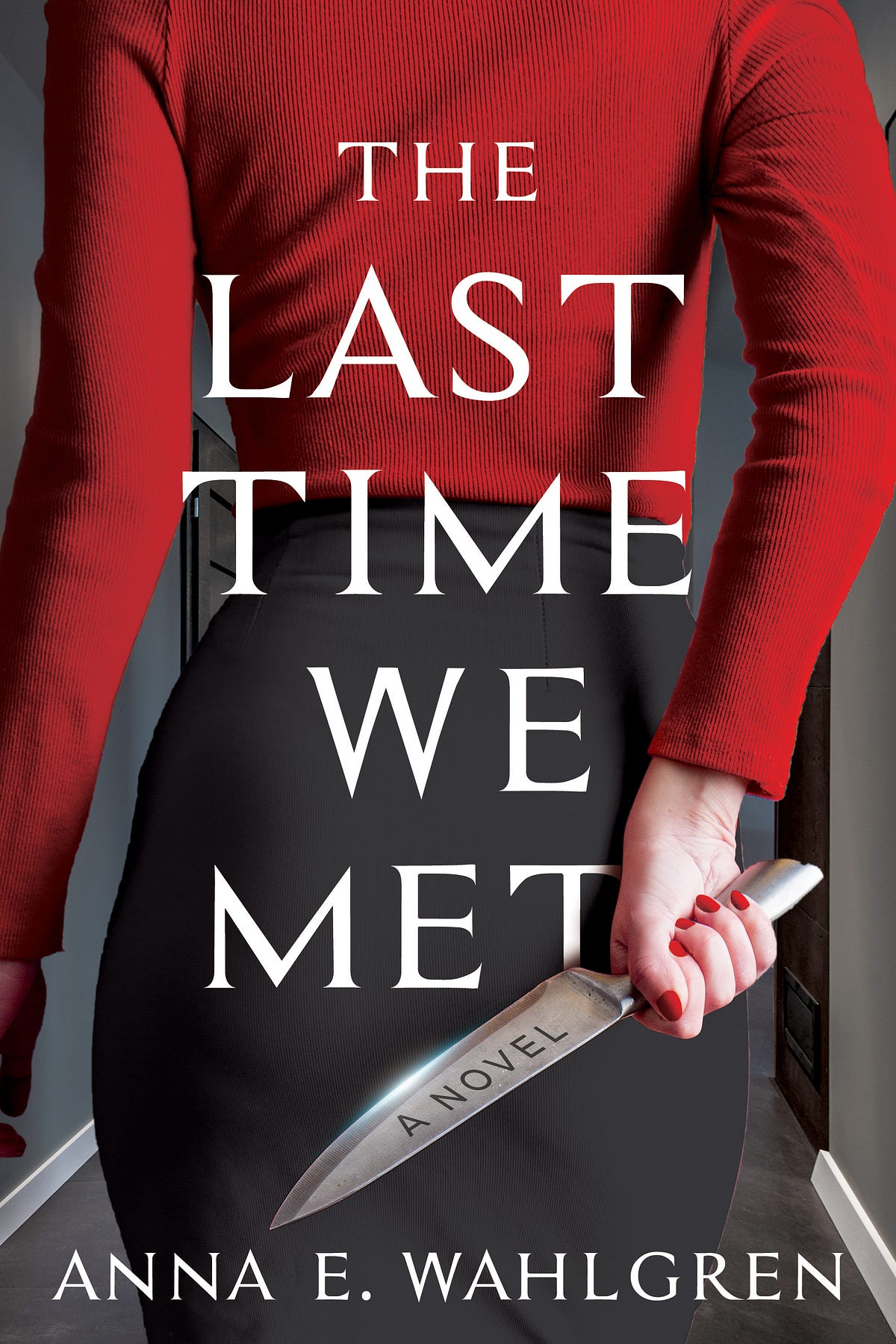  download the last time we met by anna e wahlgren by doe golter