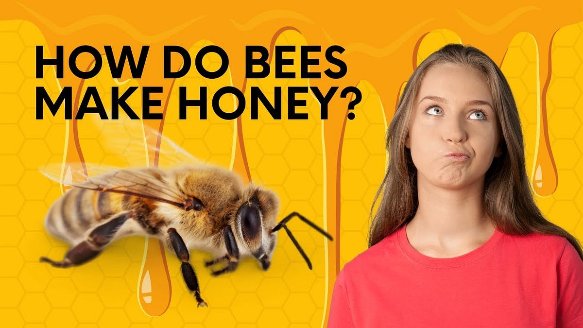 How do bees make honey?. The quencher is the main component of… by