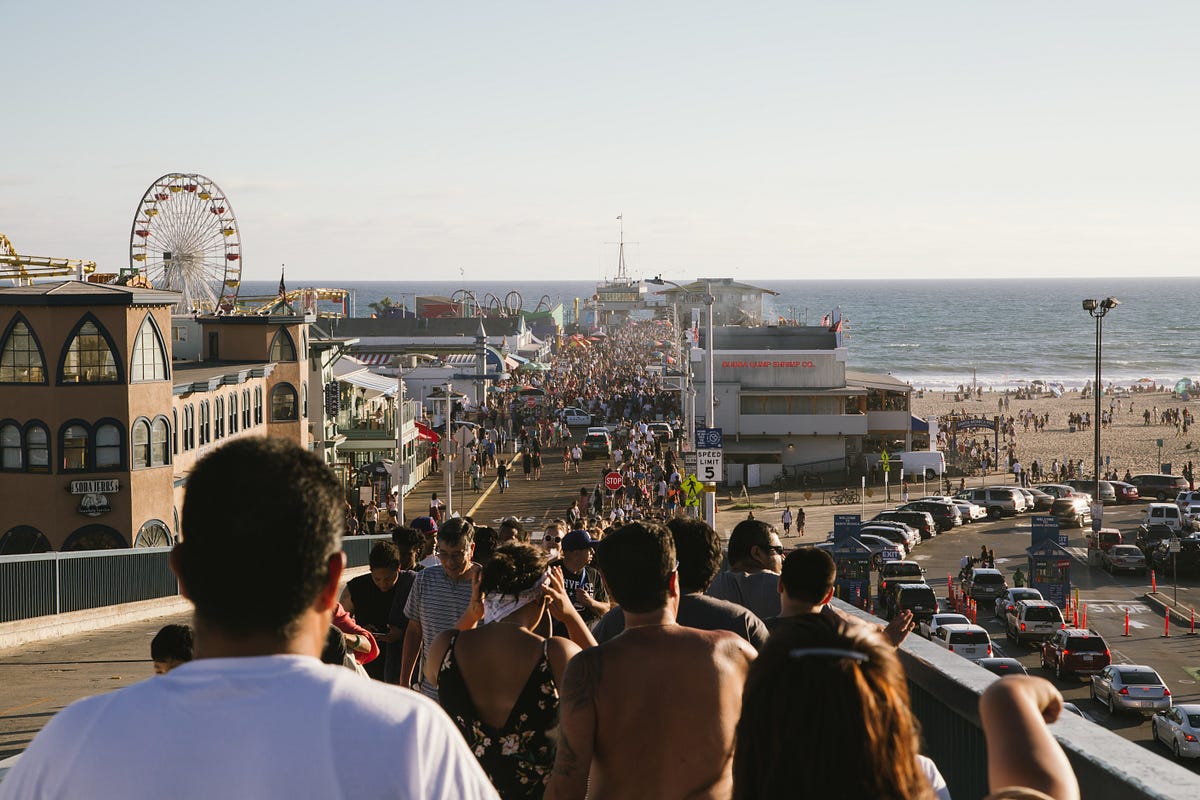 What The Sociology Of Consumption And Critical Theory Can Teach Us 