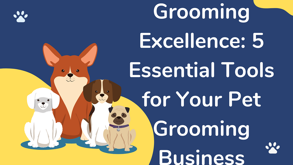 Grooming Excellence 5 Essential Tools for Your Pet Grooming Business