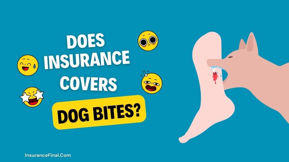 Insurance Cover Dog Bites in USA. Insurance Cover Dog Bites in USA by