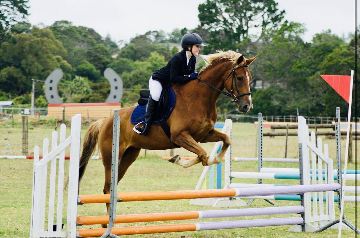 Horse Riding in Auckland Your Ultimate Guide by Ouraucklandnews