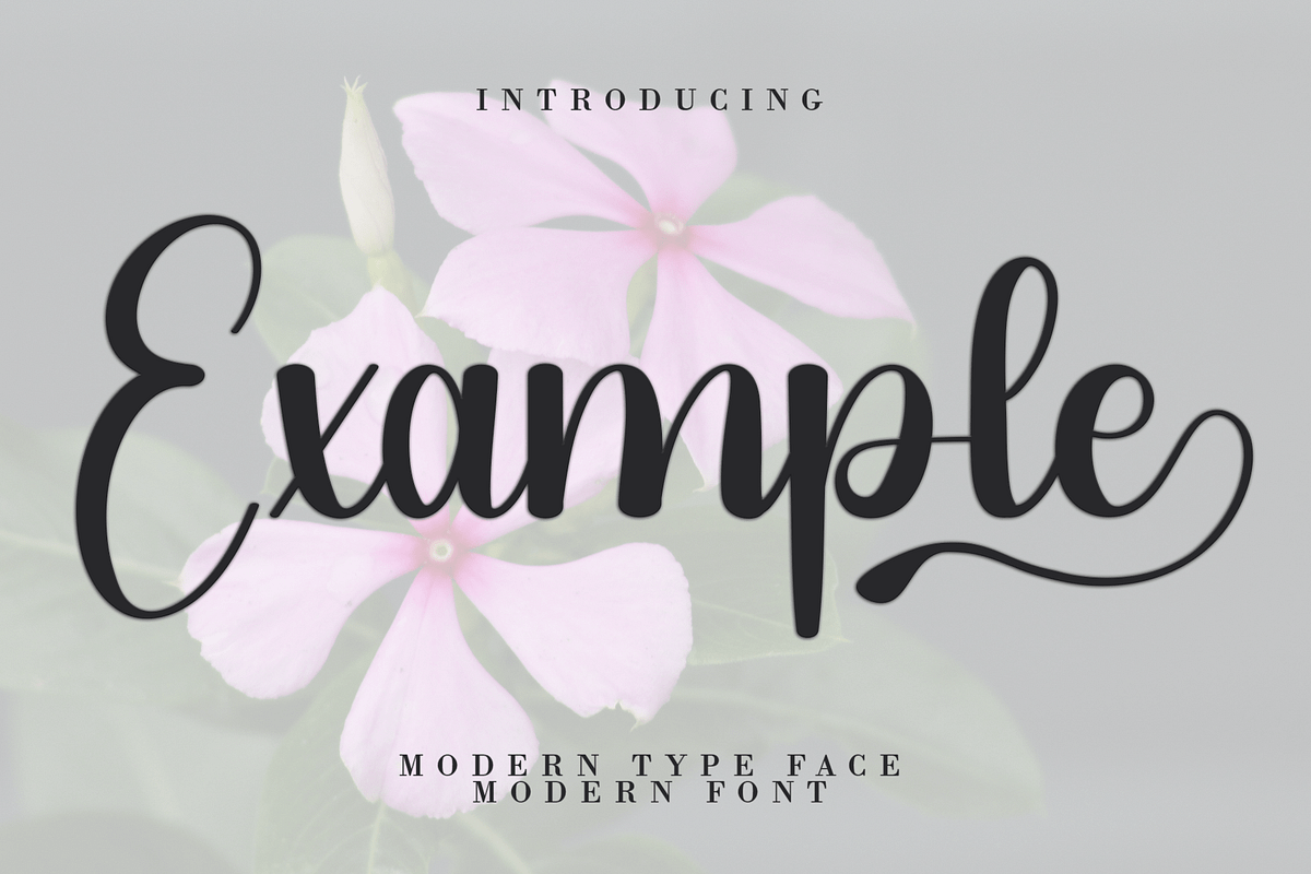 Example Font (script Fonts) 