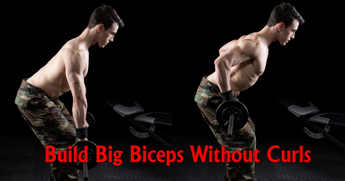 The Do's And Don'ts For Building Big Arms