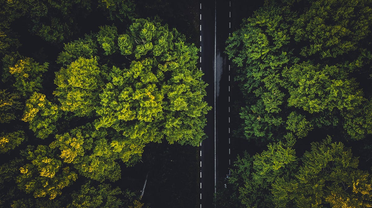 Decoding Sustainability A Deep Dive into Its Multifaceted Dimensions(09)