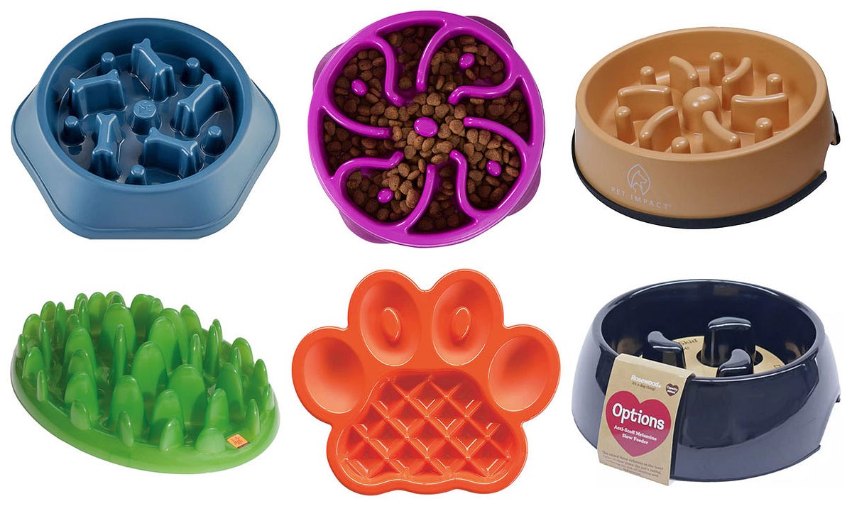 What is the purpose of a slow feeder dog bowl? Sweeny jane Medium