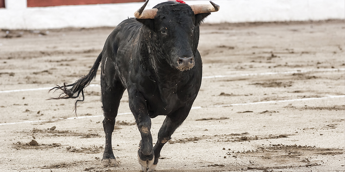 Image of: Running of the Bulls and Massive Tomato Fight Coming to Bay Area — The Bold Italic — San Francisco