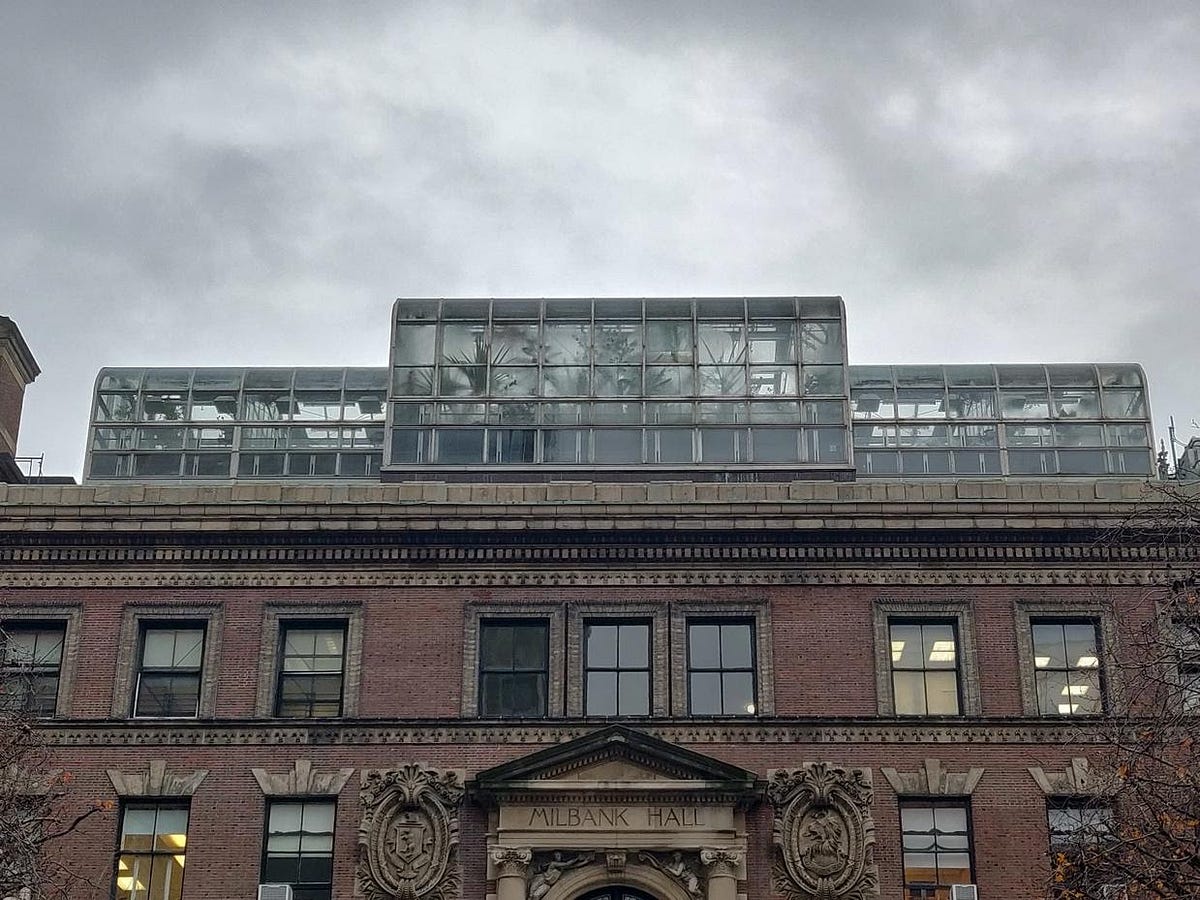 The Lab’s New Greenhouse. In fall 2020, the last thing we all… by The