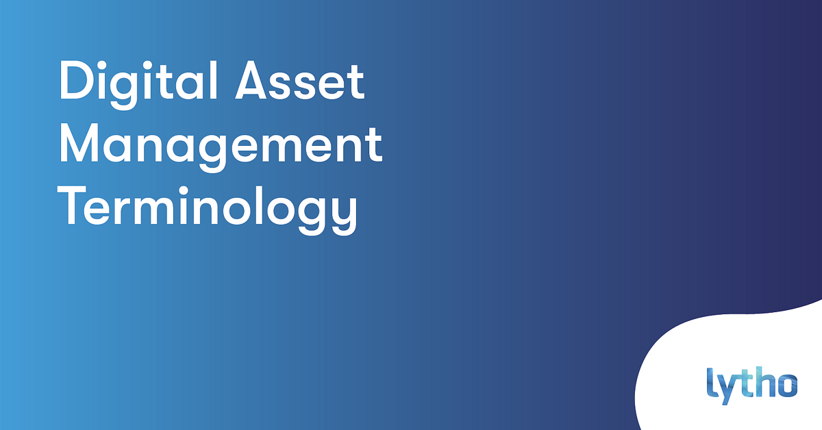 Digital Asset Management System Terminology by Raul Tiru marketing