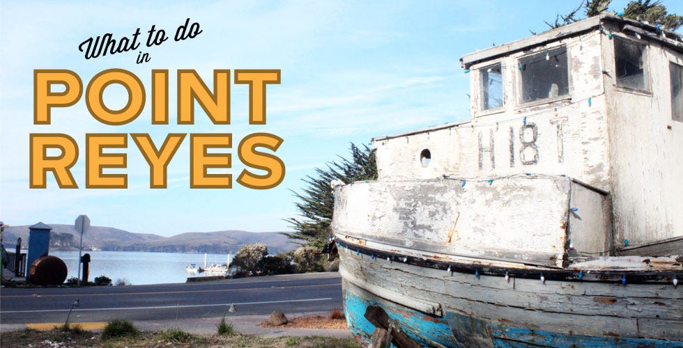 Image of: What to Do in Point Reyes
