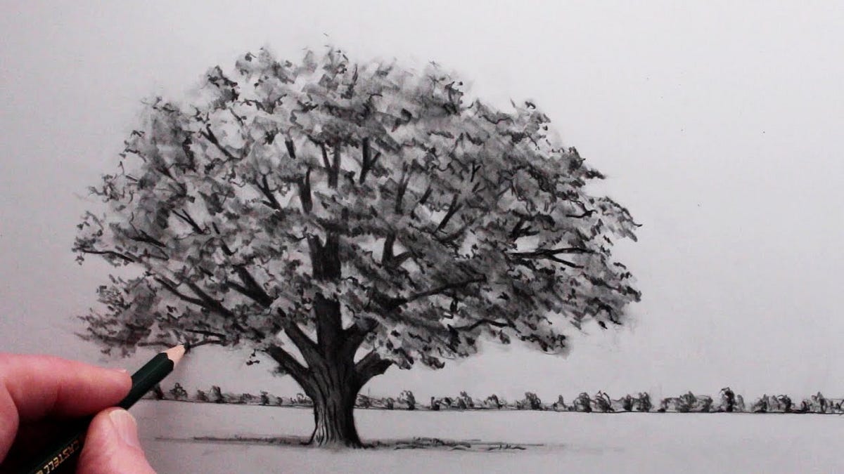 How to Draw a Realistic Tree Narrated Pencil Drawing by tiptuber