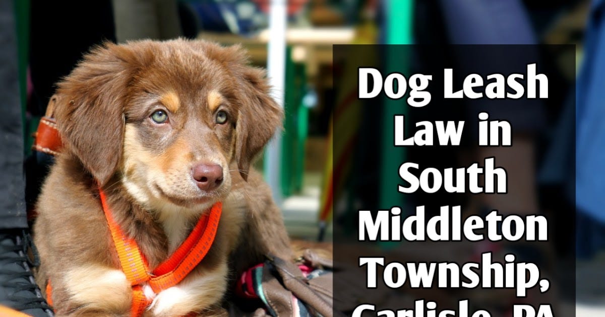 Dog Leash Law in South Middleton Township near Carlisle, PA 2023 by