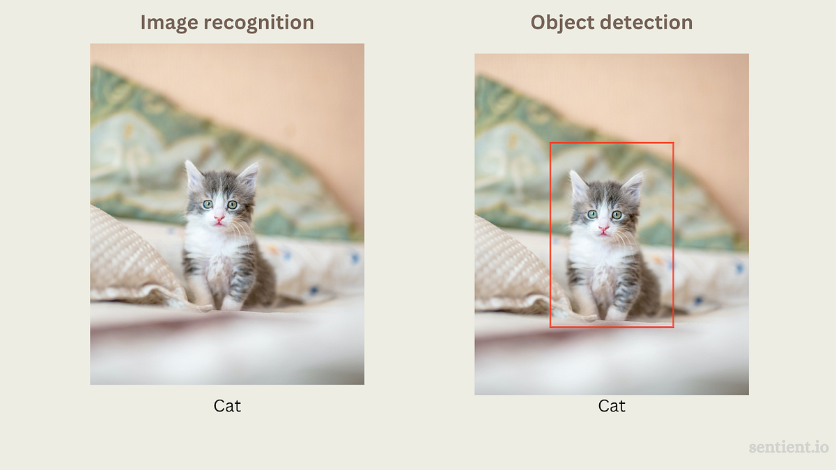 What is Object Detection and how it can turn around your business | by ...