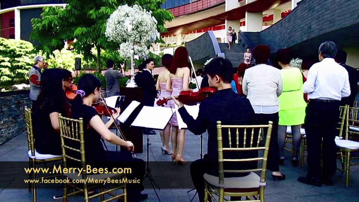 String Quartet Singapore merrybees Medium