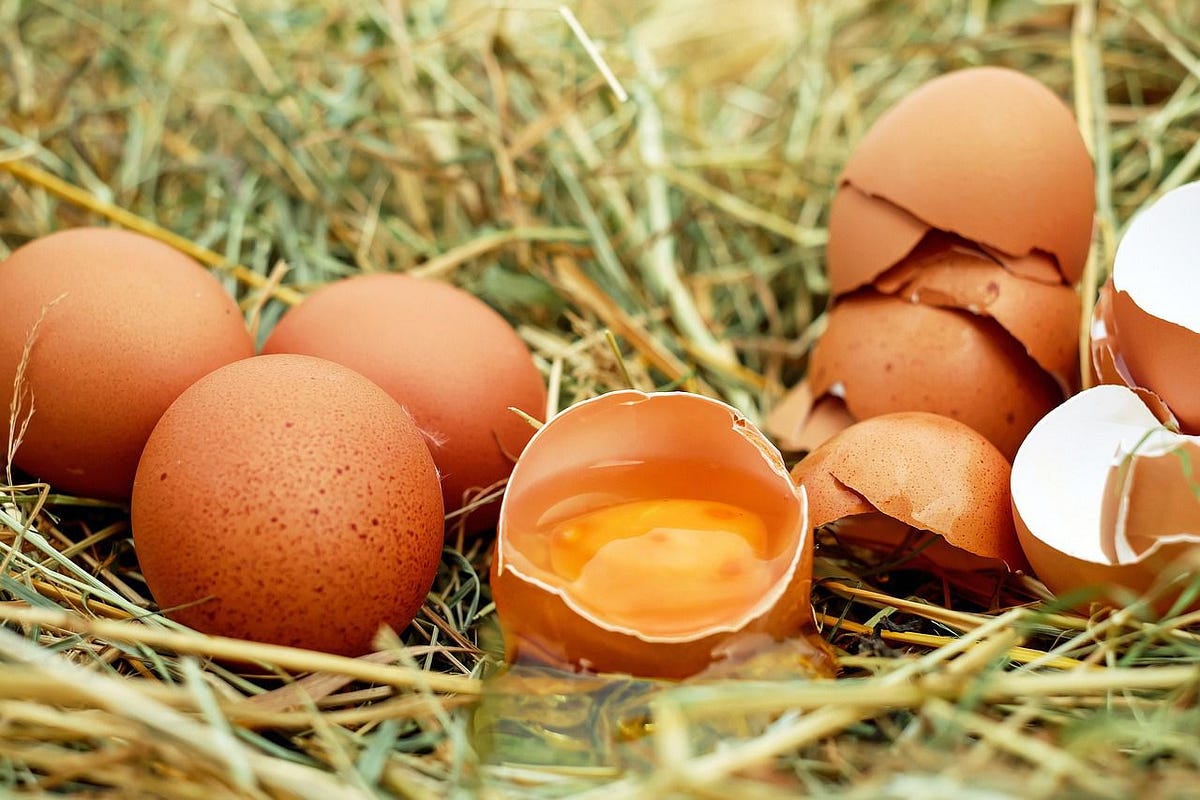 You probably shouldn’t eat too many eggs Healthy in moderation by